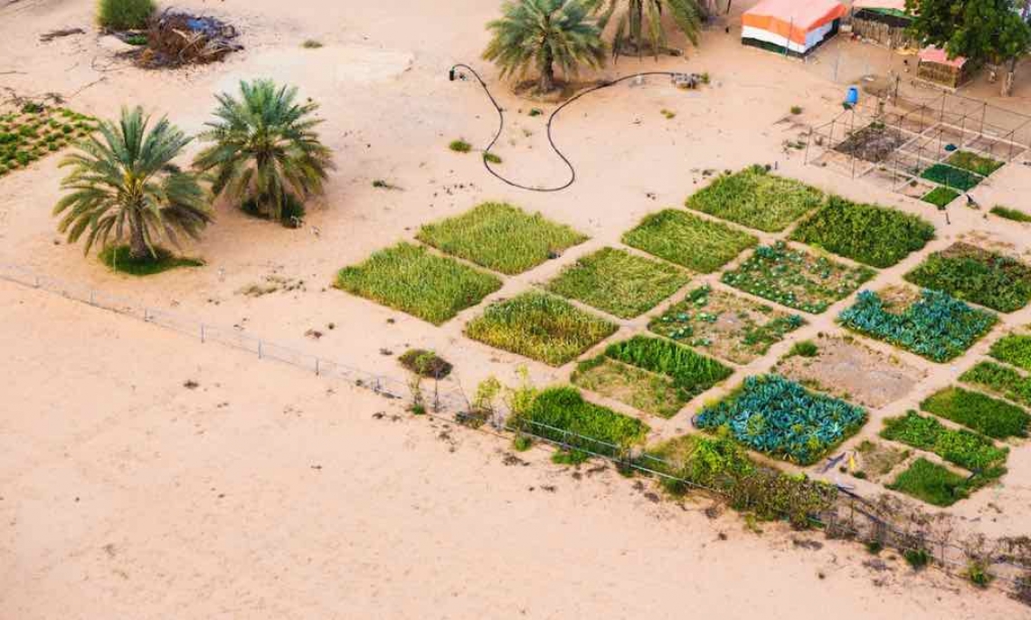 To Fight Water Insecurity, the UAE Takes to the Skies – Food Tank