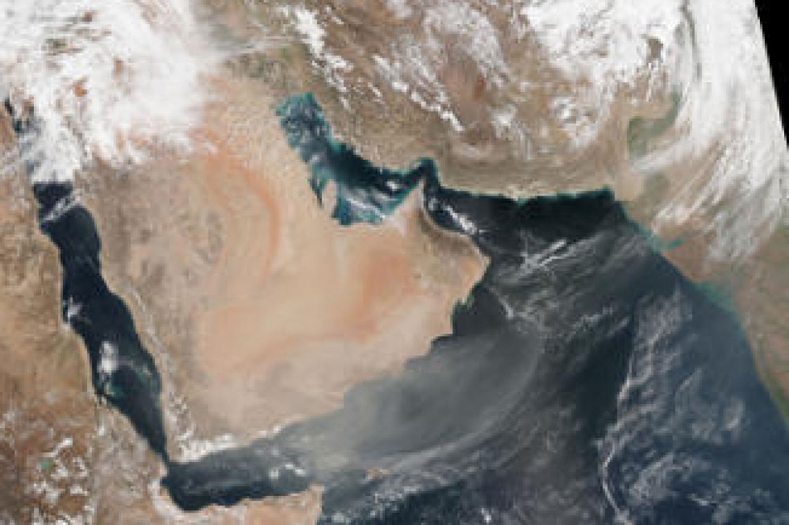 Should the environment be high on the region’s list of concerns? – Nature Middle East