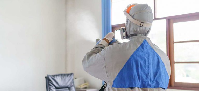 PhD in Chemical Engineering