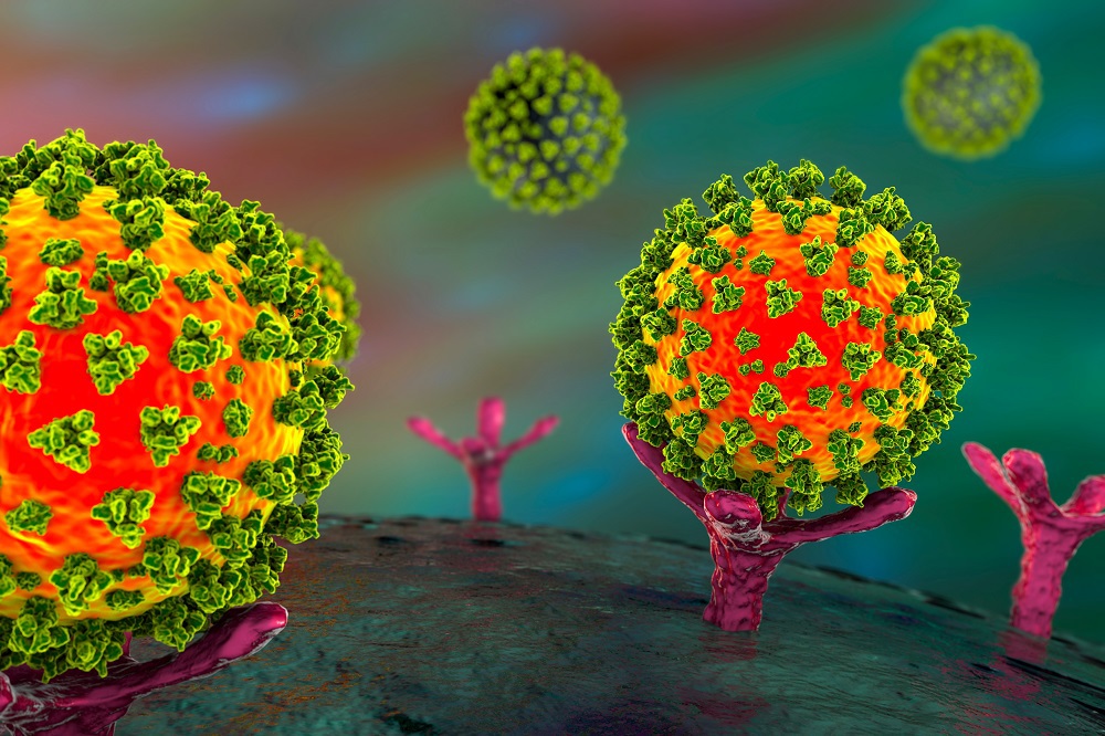 Understanding How the Covid-19 Virus Enters the Body and Drugs that Could Mitigate Infection