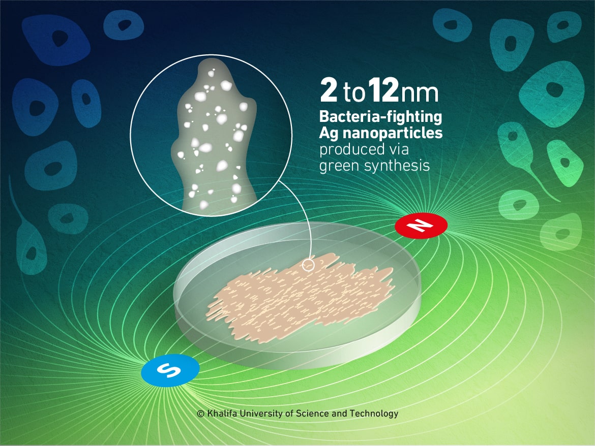Khalifa University Researchers Develop a New Environmentally-Friendly Way to Produce Nanoparticles that Fight Bacteria