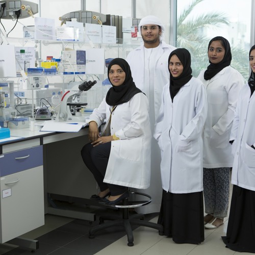 An Internship to Help Save the World with Dr. Habiba AlSafar and Mohamed Almarei