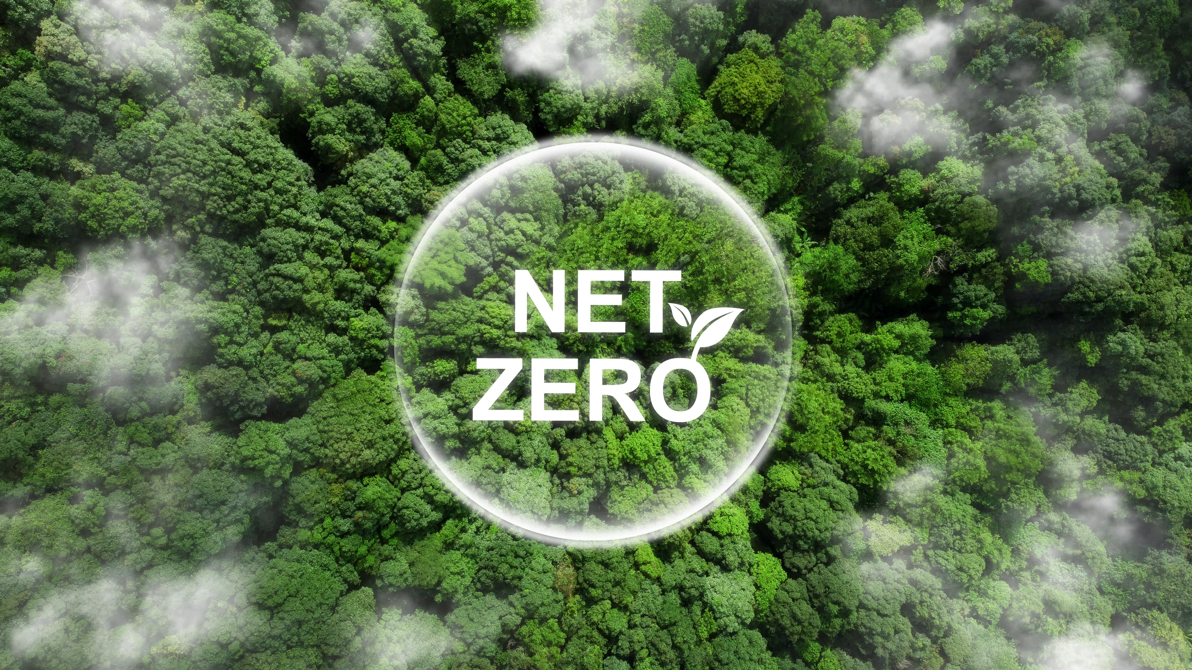 Six Bold Steps to Net-Zero