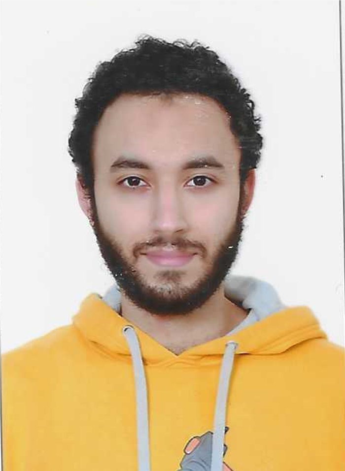 Abdelrahman Tarek Gaber