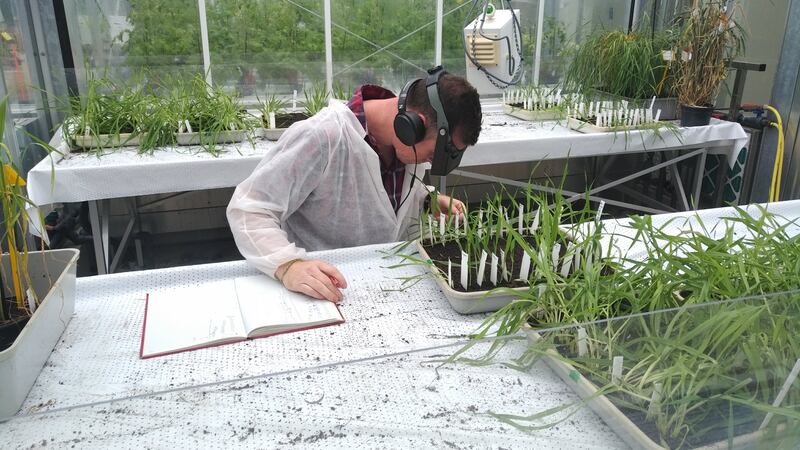 How AI can help produce a new crop of Emirati farmers