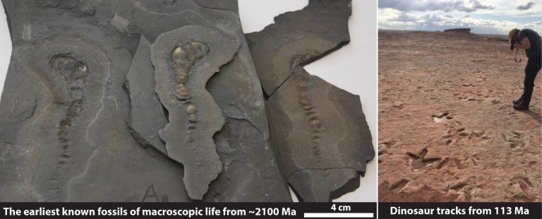 Earth History and Geobiology