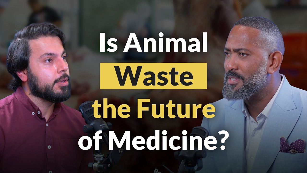 Is Animal Waste the Future of Medicine?