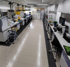 Microfluidics Lab (L01026)