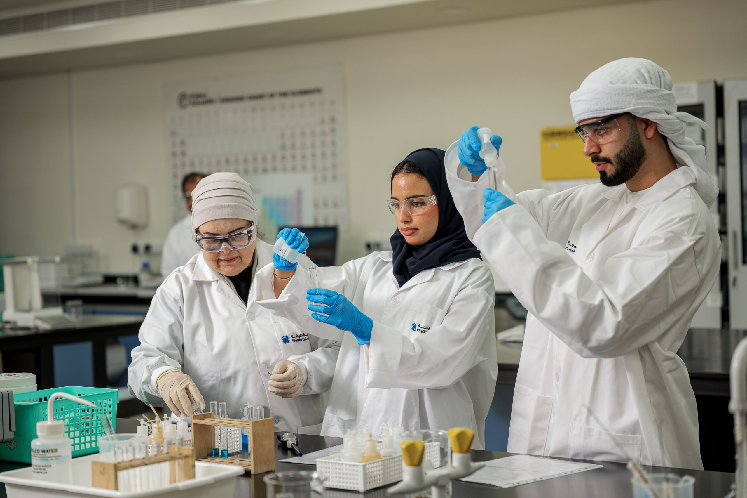 UNDERGRADUATE SCHOLARSHIPS